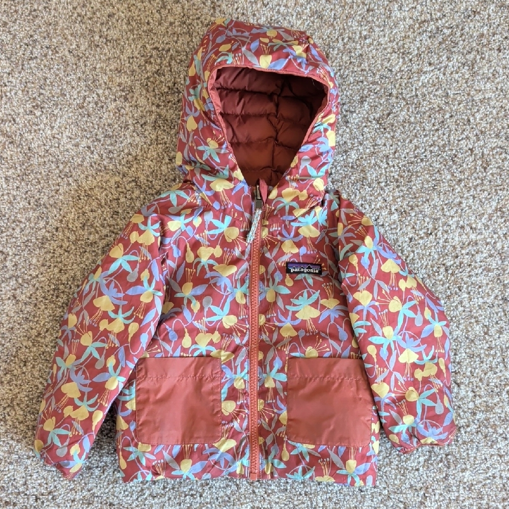 Patagonia Down Sweater Hooded Jacket